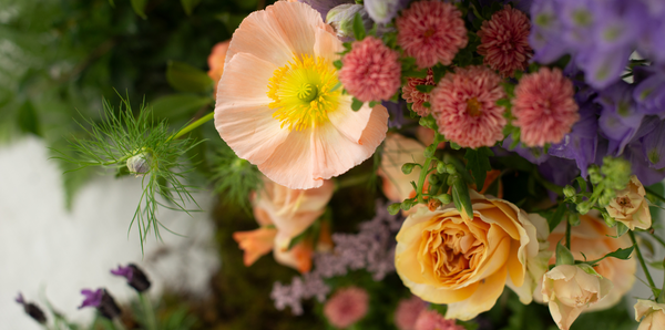 A new year a new you! - the benefits of starting your floristry journey in January