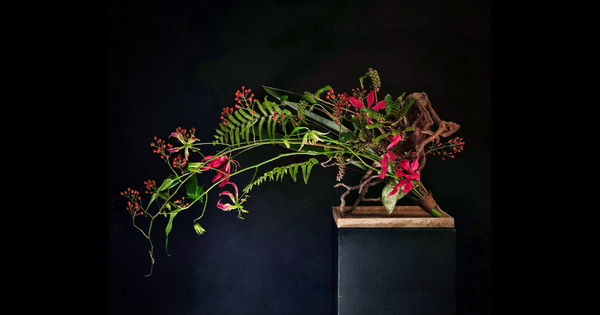 From Hobby to International Masters in Floristry: Discover Duc’s Floral Journey