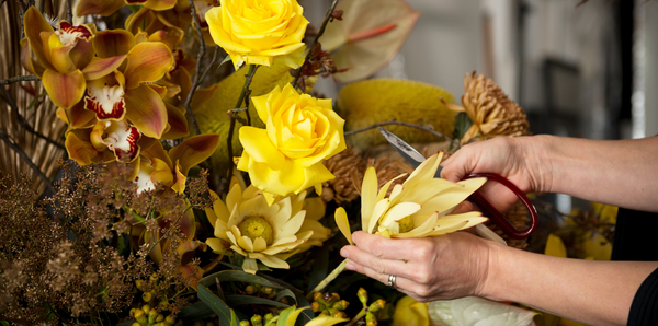 Why winter is a wonderful time to start your floristry journey
