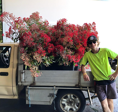 East Coast Wildflower Enrichment & Workshop