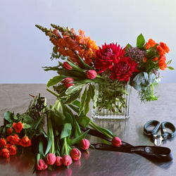 Explore Floral Colour