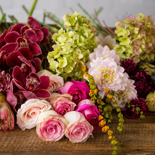 Explore Floral Colour